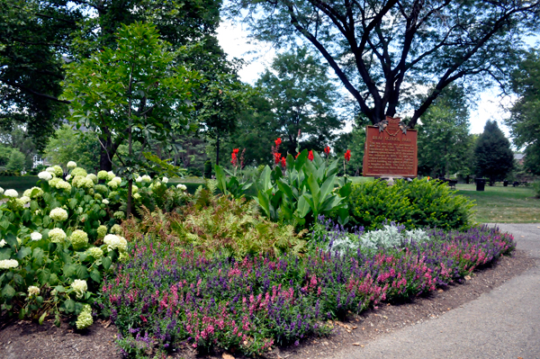 flower garden